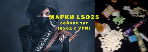 стаф Медногорск