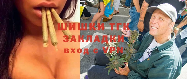стаф Медногорск